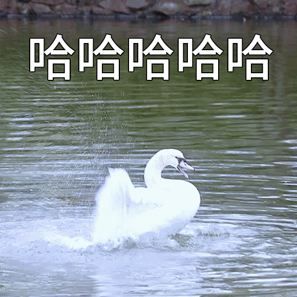 1625285181132283.gif 111.gif